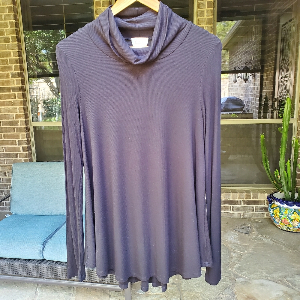 Anthropologie Delta Cowl Turtleneck Tunic S